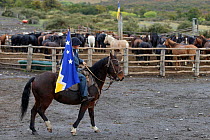 Gaucho with Patagonian flag, Torres del Paine. Patagonia, Puerto Natales, Chile. April 2016.