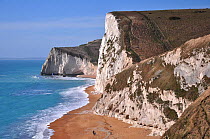 Coastal landscape of the beach at Swyre Head and Bat's Head, Jurassic coast, Dorset, UK, March.
