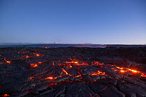 Hot lava glows through the cracks of pahoehoe in the 61G flow field, emanating from Pu'u O'o on Kilauea Volcano, and flowing toward the ocean in Hawaii Volcanoes National Park, Kamokuna, Kalapana, Pun...