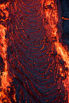 Pahoehoe lava from the 61G flow, emanating from Pu'u O'o on Kilauea Volcano, oozes from a breakout near the  Kamokuna ocean entry in Hawaii Volcanoes National Park, Kalapana, Puna, Hawaii, USA, July 2...