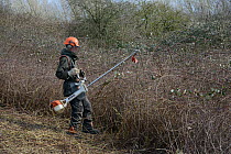 Green Mantle Ltd. contractor using a strimmer to clear scrub from hillside once used as a dumping ground to improve habitat for bees and other pollinators for Buglife / Avon Wildlife Trust's West of E...
