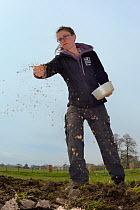 Rosie Maple of Avon Wildlife Trust scattering a wildflower seed mix on ploughed farmland grassland for Buglife / AWT's West of England B-Lines project, Newton St. Loe, Bath and northeast Somerset, UK,...