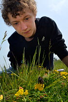 Alex Campbell watching a Short-haired bumblebee queen (Bombus subterraneus) collected in Sweden that she has just released during a UK reintroduction project run by the Bumblebee Conservation Trust /...