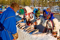 Nenets women selling fish during the reindeer herders' festival in Nadym. Yamal, Western Siberia, Russia