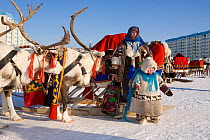 Khanty woman and her children arriving by reindeer sled at a festival in Nadym. Yamal, Northwest Siberia, Russia
