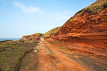 Hilbre Island - road and footpath onto the south end - situated in mouth of River Dee Estuary Wirral, UK, March.
