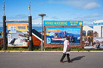 Whale-watch operator advertising whale watching boat trips, Husavik, Skjalfandi Bay, northern Iceland, June 2011