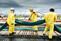 Men cleaning oil containment booms during Deepwater Horizon oil spill, Louisiana, Gulf of Mexico, USA, August 2010