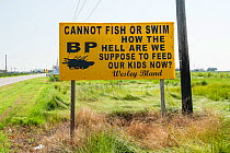 Protest sign by road during Deepwater Horizon oil spill, Louisiana, Gulf of Mexico, USA, August 2010
