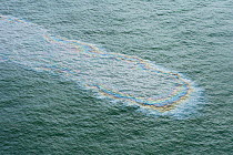 Aerial view of oil on surface of the sea during the Deepwater Horizon oil spill, Louisiana, Gulf of Mexico, USA, August 2010