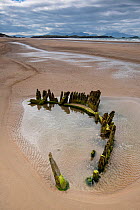 Wreck of the Brig Athena exposed at low tide  on Malltraeth beach, Anglesey, North Wales, with Llanddwyn Island and Snowdonia in the background, UK August 2016.