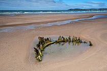 Wreck of the Brig Athena exposed at low tide on Malltraeth beach, Anglesey, North Wales, with Llanddwyn Island and Snowdonia in the background, UK August 2016.