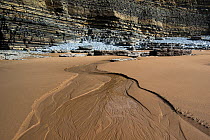 Small braided stream flowing across a beach with Jurassic age, Liassic limestone cliffs in the background, Southerndown, Wales, UK.