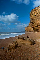 Cliffs of Jurassic, Bridport sandstone exposed at Burton Bradstock, Dorset, UK. These variably cemented sandstones form the middle of 3 oil hydrocarbon bearing reservoirs at the nearby Wytch Farm, Oil...