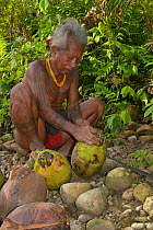 Mentawai man with coconuts. Siberut Island, Sumatara July 2016.