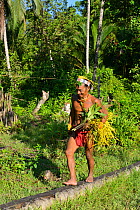 Mentawai man, Sikéré, returning to the communal hut with plants for a ritual, Siberut, Sumatra. July 2015.