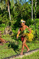 Mentawai man, Sikéré, returning to the communal hut with plants for a ritual, Siberut, Sumatra. July 2015.