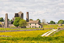 Magpie Mine near Monyash surrounded by fields of Meadow buttercups (Ranunculus acris) Peak District National Park, Derbyshire, England, UK, May.