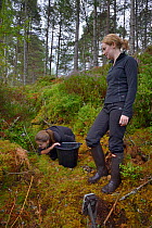 Lizzie Croose looks on as Karis Hodgson checks a live trap pre-baited for Pine martens (Martes martes) in coniferous woodland to check if any bait has been taken, during a reintroduction project to Wa...