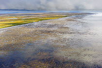 Mudflats on the Yukon Delta National Wildlife Refuge, Alaska, USA, September 2010. The delta contains the single largest expanse of intertidal habitat in North or South America and is a crucial stagin...