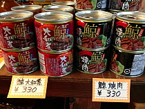 Canned whale meat for sale at a souvenir shop for tourists in Japan.