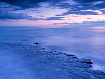 RF - Kimmeridge Bay, ledges at twilight, The Purbecks, Dorset, UK. April. (This image may be licensed either as rights managed or royalty free.)