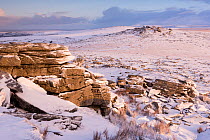 Great Staple Tor covered in snow at dawn, Dartmoor National Park, Devon, England, UK. January 2015.