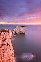 Old Harry Rocks at dawn, looking towards the Isle of Wight, Studland, Dorset, England, UK. September 2015.