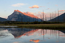 Mount Rundle at dusk, seen from Vermillion Lakes in Banff National Park, Alberta, Canada August