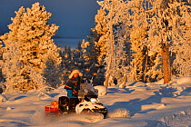 Nils-Torbjorn Nutti, owner and operator at Nutti Sami Siida, on snowmobile trip into the wilderness, Jukkasjarvi, Lapland, Laponia, Norrbotten county, Sweden Model released.