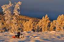 Nils-Torbjorn Nutti, owner and operator at Nutti Sami Siida, on snowmobile trip into the wilderness, Jukkasjarvi, Lapland, Laponia, Norrbotten county, Sweden Model released.