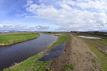 Flood defence dyke repaired after major breach during winter storms led to arable farmland becoming flooded in an area where Eurasian beavers (Castor fiber) have become established, River Isla, near B...