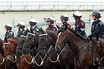 Portraits of Hamilton mounted police officers on their warmblood horses, during the National American Police Equestrian Competition (NAPEC), at Kingston Penitentiary, Kingston, Ontario, Canada. Septem...
