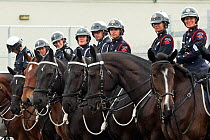 Portraits of Hamilton mounted police officers on their warmblood horses, during the National American Police Equestrian Competition (NAPEC), at Kingston Penitentiary, Kingston, Ontario, Canada. Septem...