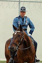 Portrait of a Massachusetts mounted police officer on his warmblood horse, during the National American Police Equestrian Competition (NAPEC), at Kingston Penitentiary, Kingston, Ontario, Canada. Sept...