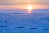 Midnight sun over icefield in late winter, Svalbard, Spitsbergen, Norway, April. Taken on the day of the first midnight sun of the year.