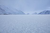 Frozen sea ice in fjord, winter, Spitsbergen, Svalbard, Norway, April