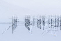 Antennas from Sousy Svalbard Radar (SSR) Project, Spitsbergen, Svalbard, Norway, April