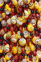 Necklaces made from endangered Polymita land snails for sale to tourists, Cuba