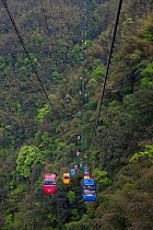 Cable Car with Tourists over Bamboo Forest, Shunan Bamboo Sea, Shunan Zhuhai National Park, Sichuan, China