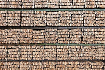 Bamboo (Phyllostachys heterocycla)  cut stems  sorted for transport, Shunan Bamboo Sea, Shunan Zhuhai National Park, Sichuan, China