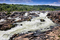 Great Falls of the Potomac, Chesapeake and Ohio Canal National Historical Park, Maryland, USA July
