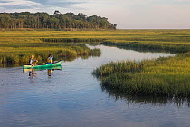 Canoeing through salt marsh, Delaware Bay, New Jersey, June