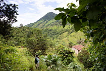 Farm and farmhouse, just outside of Buenaventura Biological Reserve, Province El Oro, Ecuador