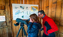 Birdwatchers in wildlife observation, Marais D'Orx Reserve, Landes, France, January 2016.
