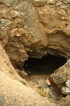 Cave habitat of blind Starostin's loach (Troglocobitis / Nemacheilus starostini) Turkmenistan.
