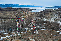 Scarved, ribbons and fabrics symbolically  tied to trees in  Maloe More Strait, Lake Baikal, Siberia, Russia. March 2015.