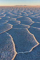 Salar de Uyuni salt flat at sunrise, Altiplano, Bolivia
