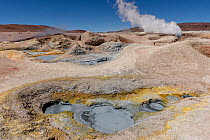 Sol de Manana geyser basin, Reserva Eduardo Avaroa, Altiplano, Bolivia