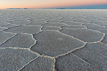 Salar de Uyuni salt flat just before sunrise, Altiplano, Bolivia